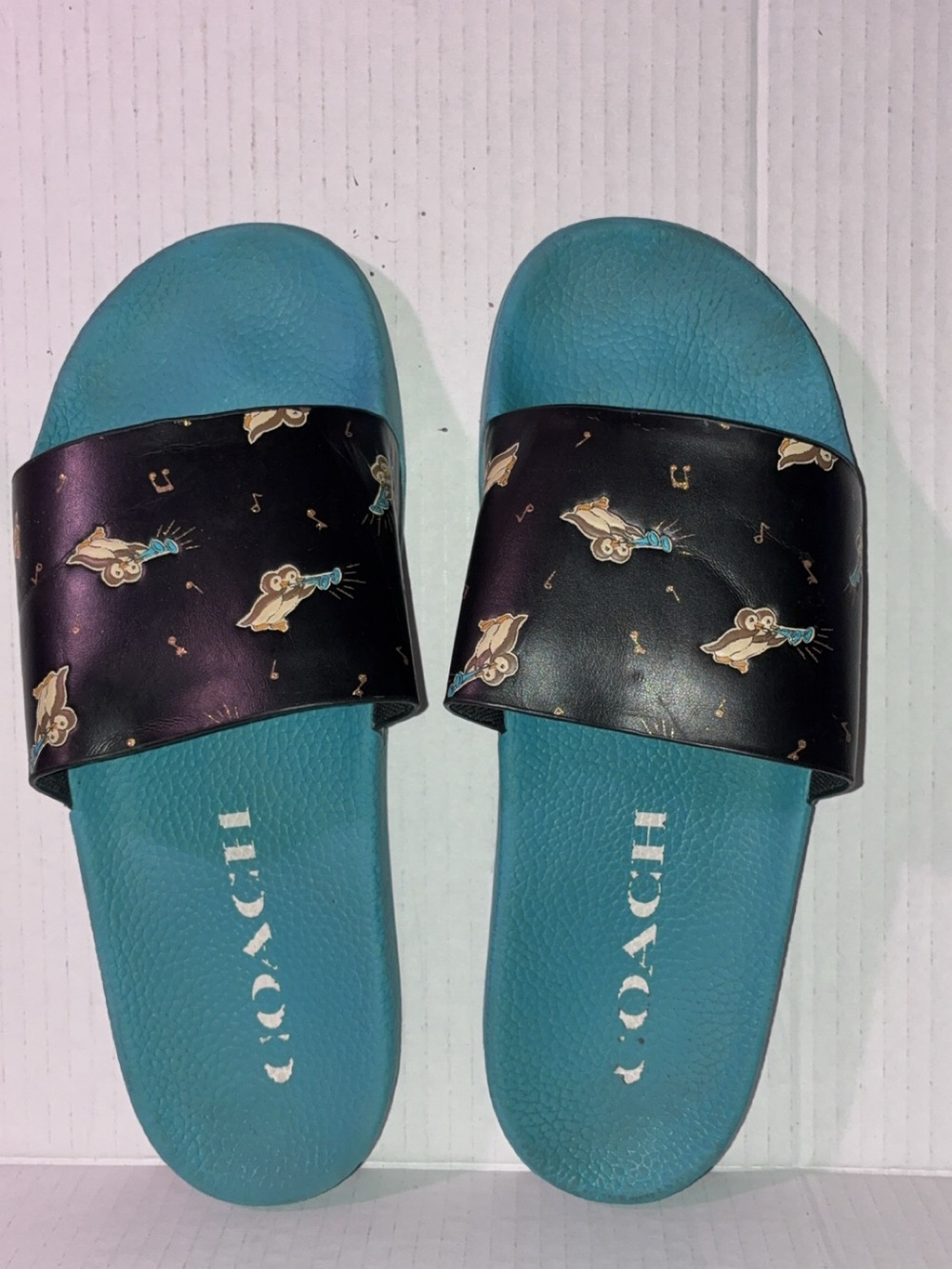 Coach Teal Slide Sandals with Black Printed Strap